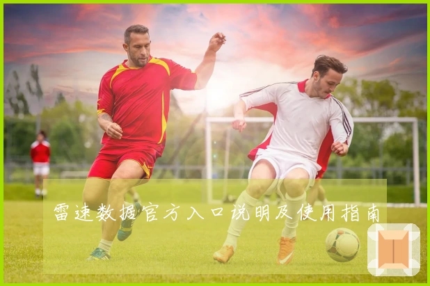 雷速数据官方入口说明及使用指南